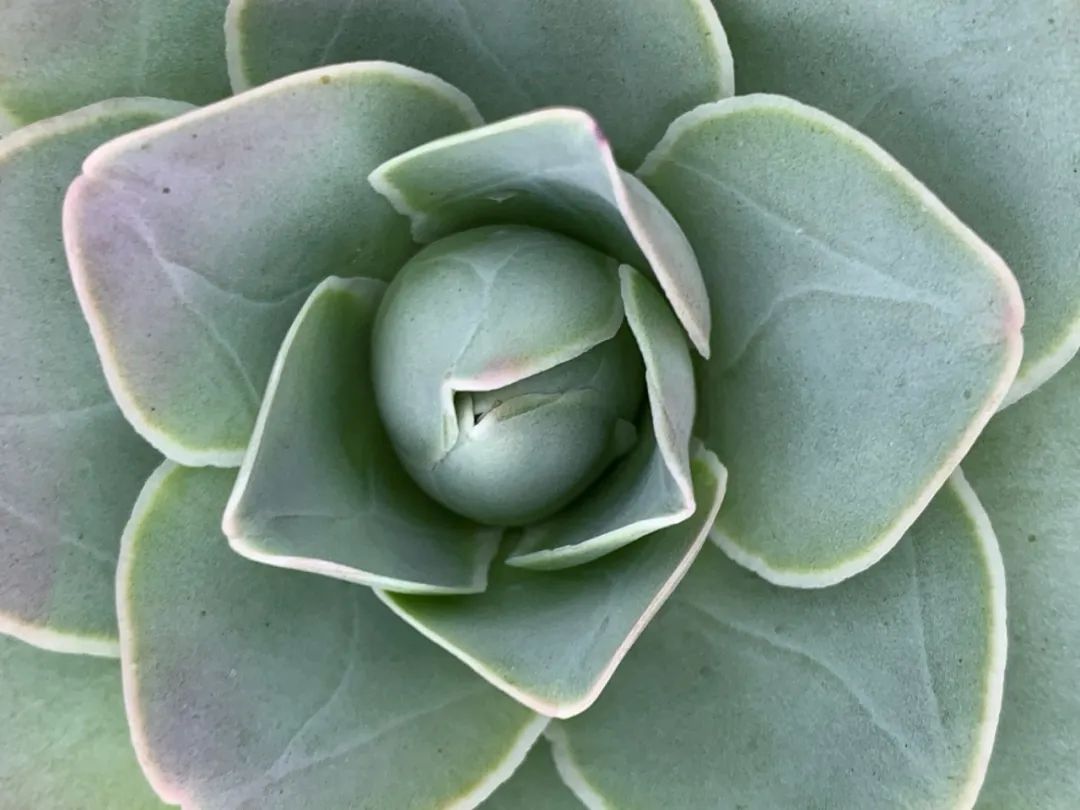 禁足的日子收获颇多,禁足