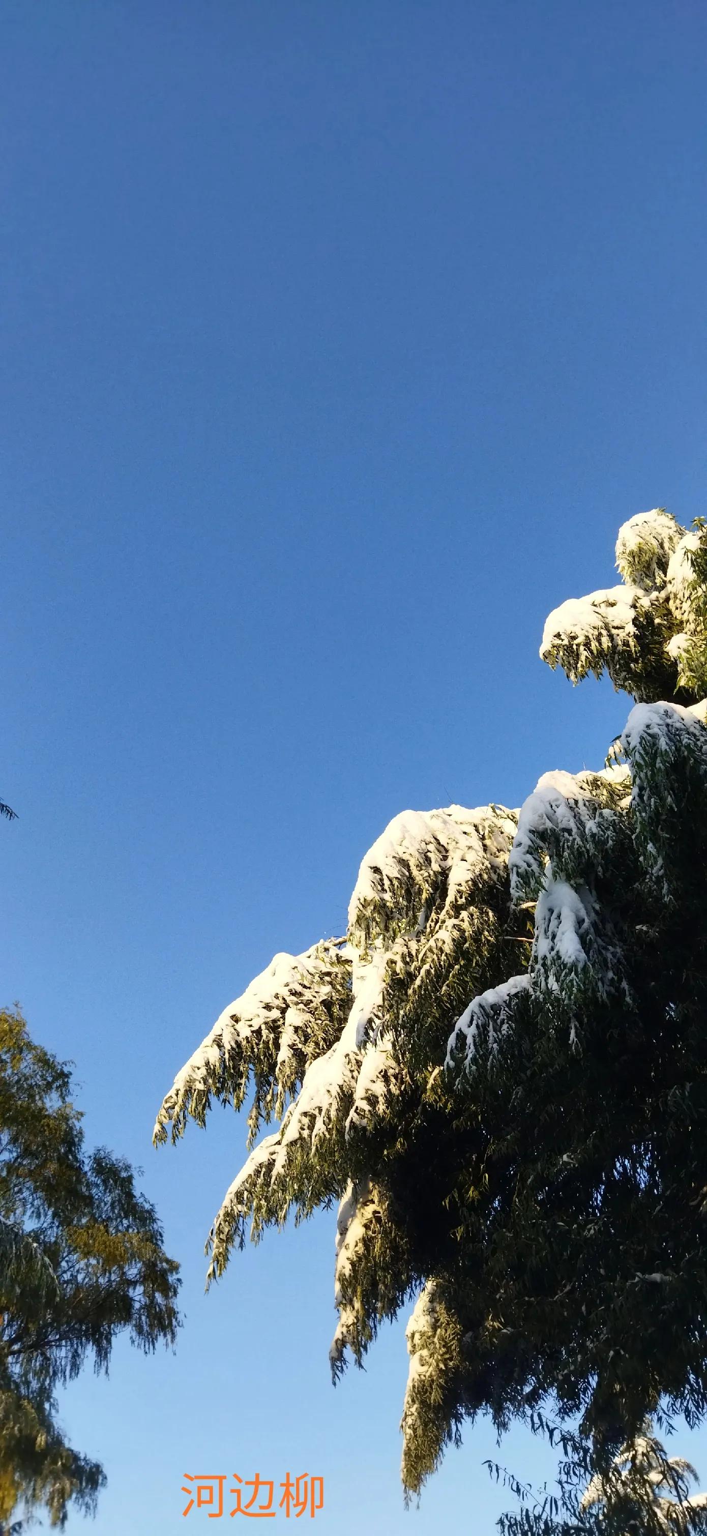 济南的冬天朗读完整版,济南的冬天是个美丽的地方改病句