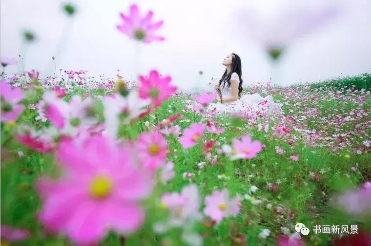 等你在我人生最美的时刻