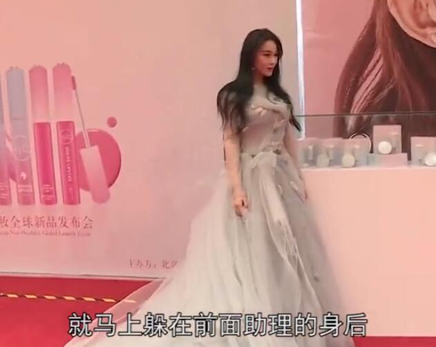 张馨予和范冰冰现状,张馨予范冰冰在一起了吗