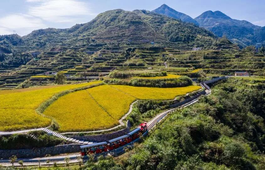 居民楼起火六名中学生参与救火,安徽一居民楼起火