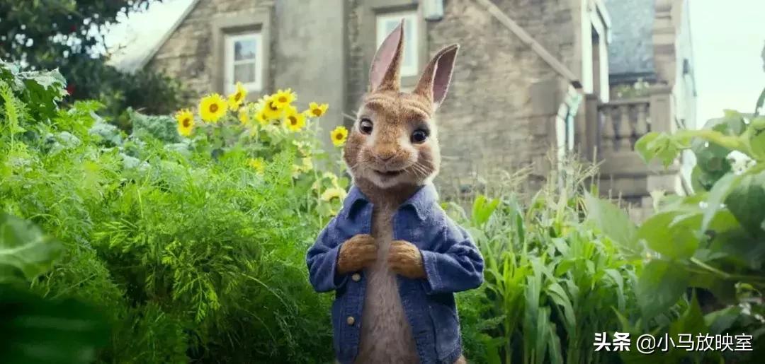 十部高分燃炸大片,十年超燃大片推荐