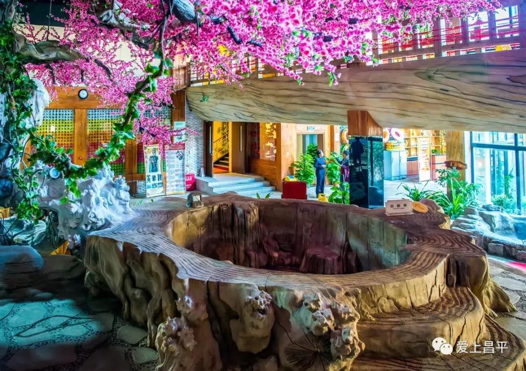 半价温泉票,暖冬特惠温泉票