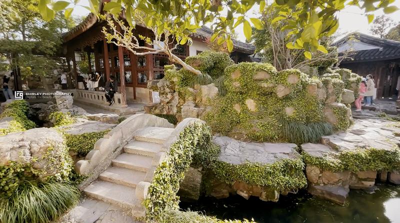 苏州旅游最不能错过的江南园林,留园拙政园是苏州著名的园林