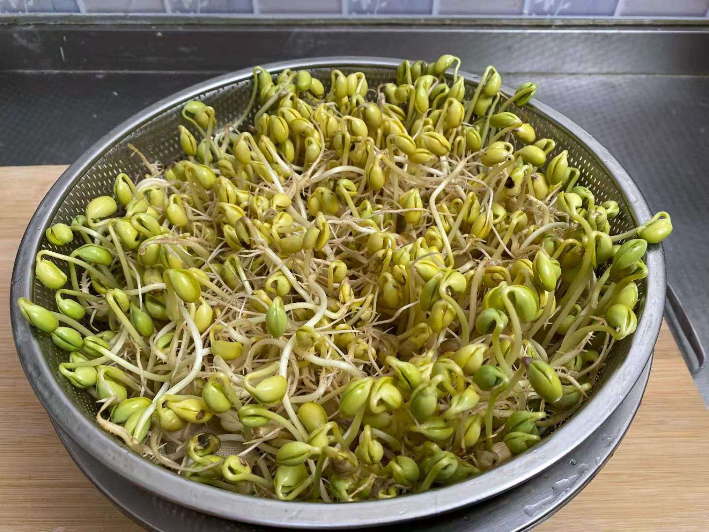 发豆芽需要加肥料吗,豆芽不用泥土可以发吗