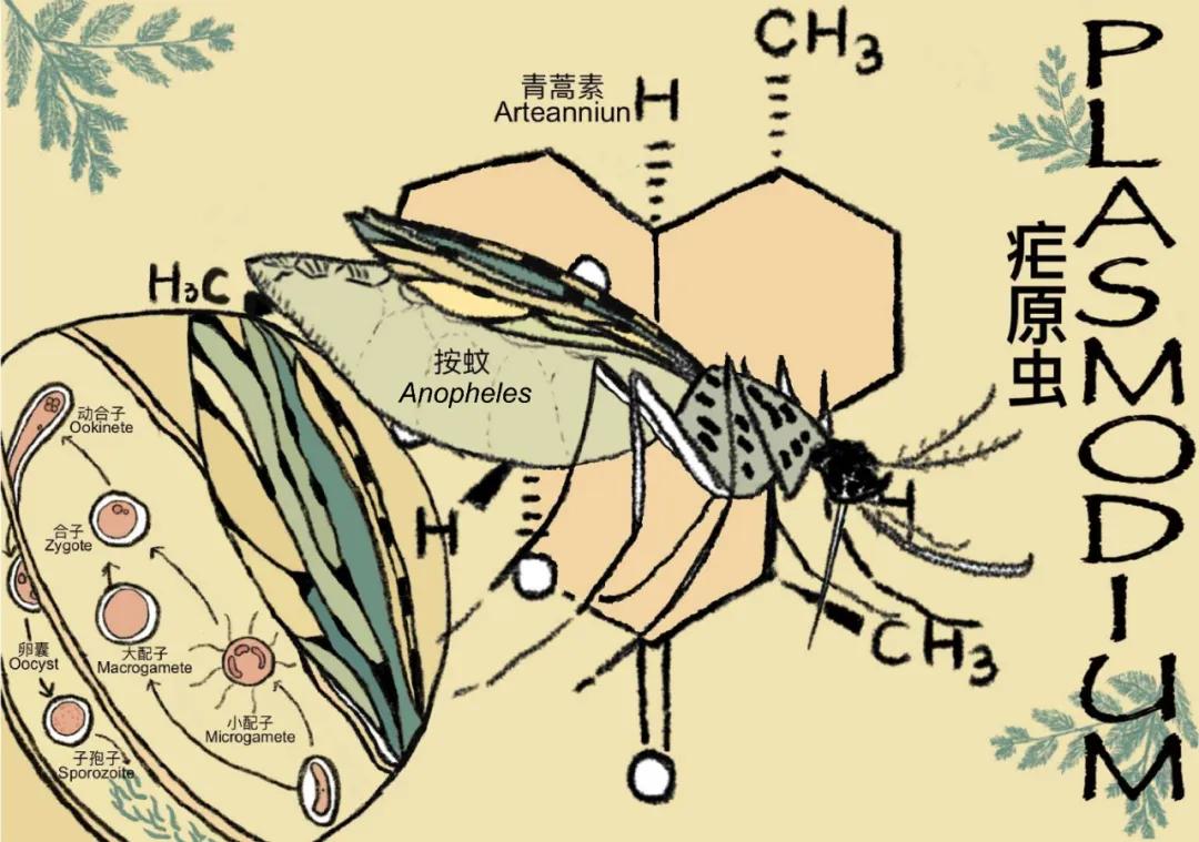 生命的故事绘本电子版,生命的故事图片