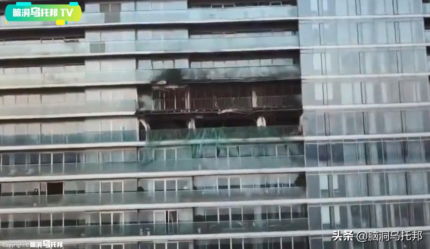 林生斌各大网红发声,林生斌网红发声