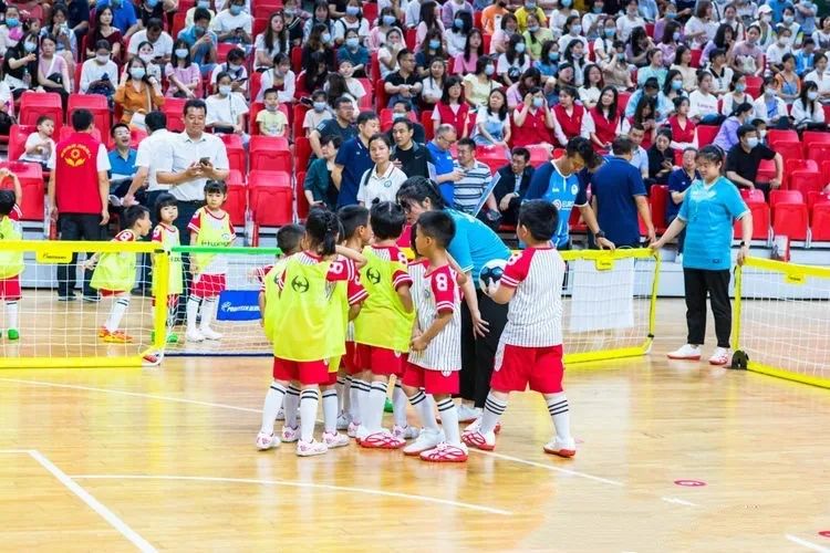 派迪茵训练器,派迪茵射门训练器