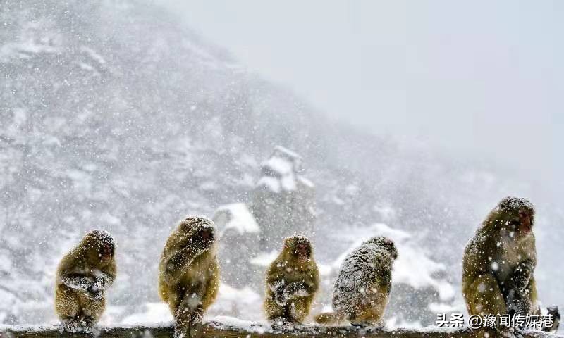 济源景色好的地方有哪些,济源全域旅游示范区