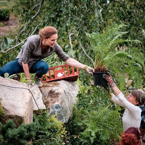 凯特王妃得体亲民的穿着,凯特王妃穿着