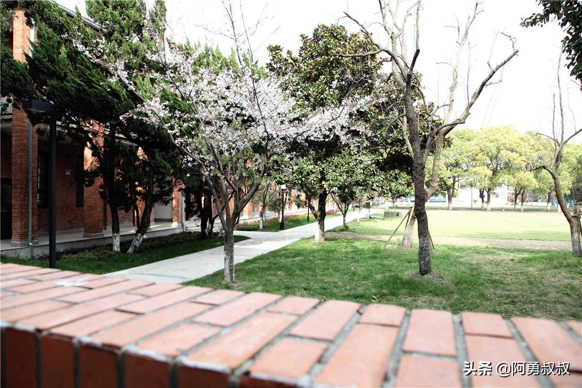 全国百强高中苏州有几个,苏州实验中学科技城校区