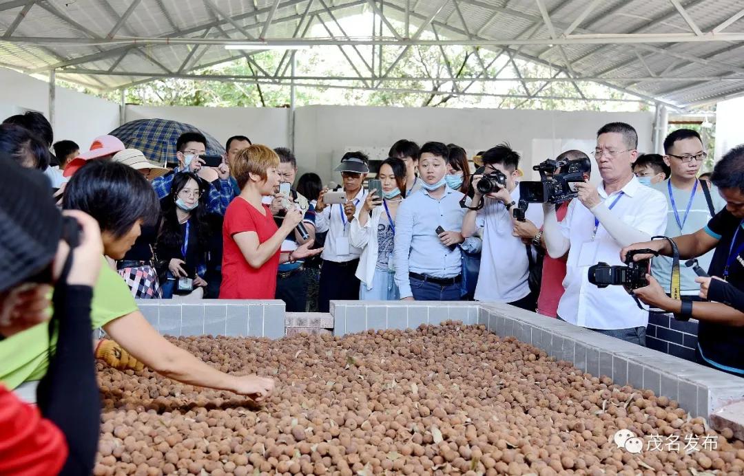 乡村振兴看辉煌,乡村振兴看东富