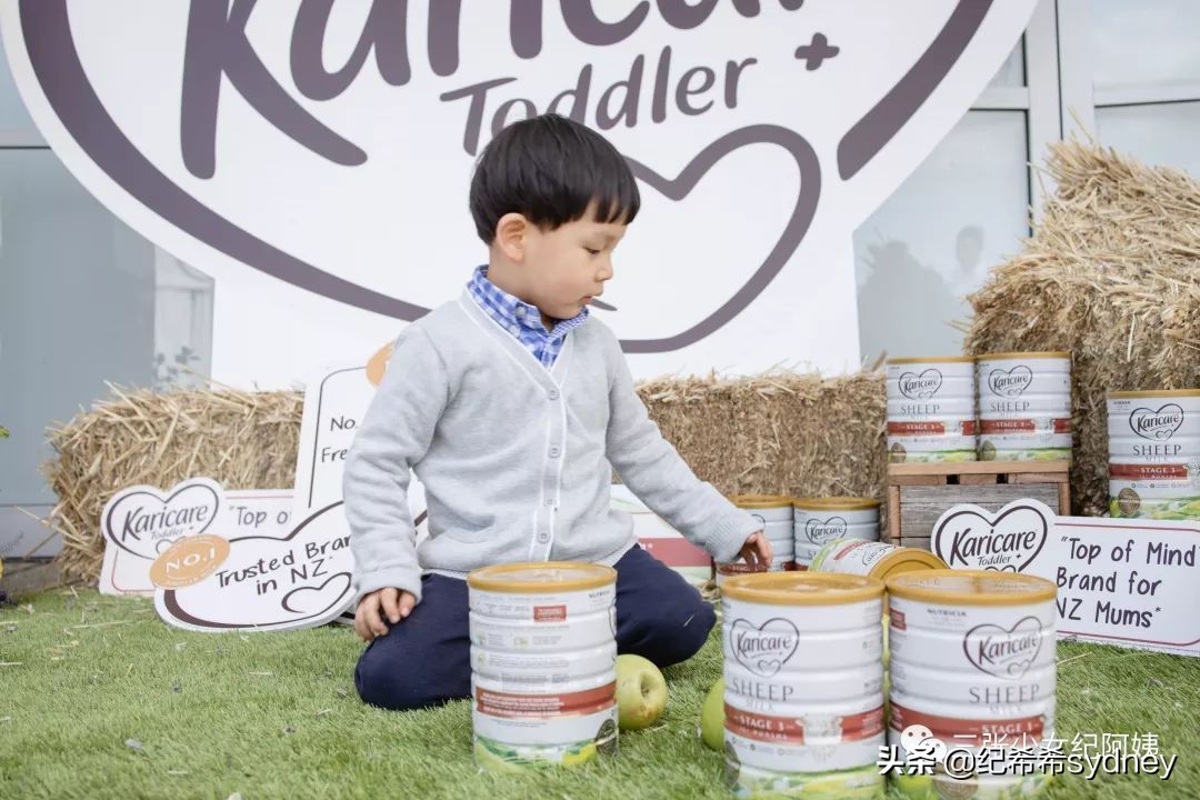 可瑞康奶粉澳洲价格,可瑞康代购奶粉澳洲