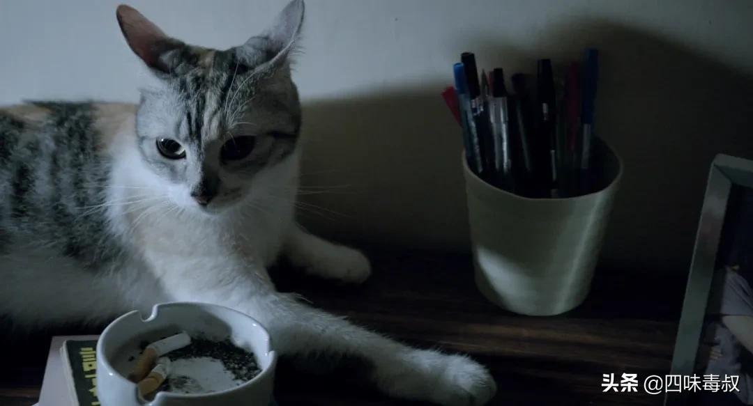 更暗黑、cult的《智齿》，是黑白版《踏血寻梅》吗？