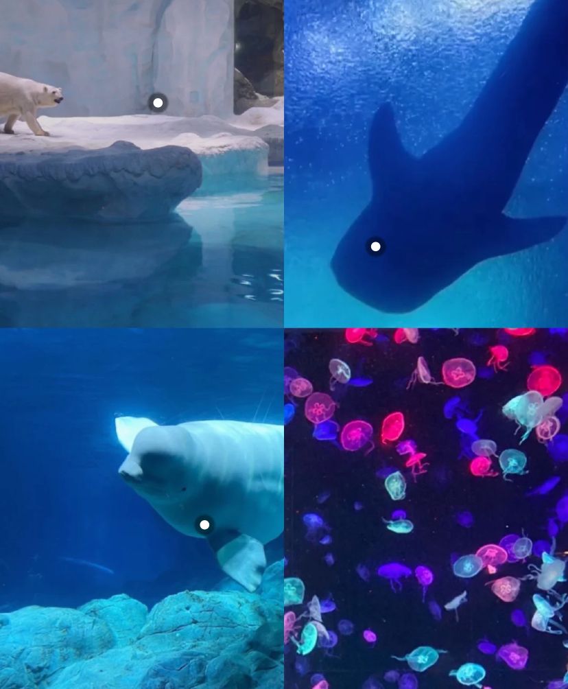 珠海旅游攻略美食,珠海拱北口岸丽枫酒店附近美食