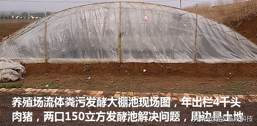 鸡粪有机肥除臭最有效的方法,鸡粪怎么发酵做养花肥料