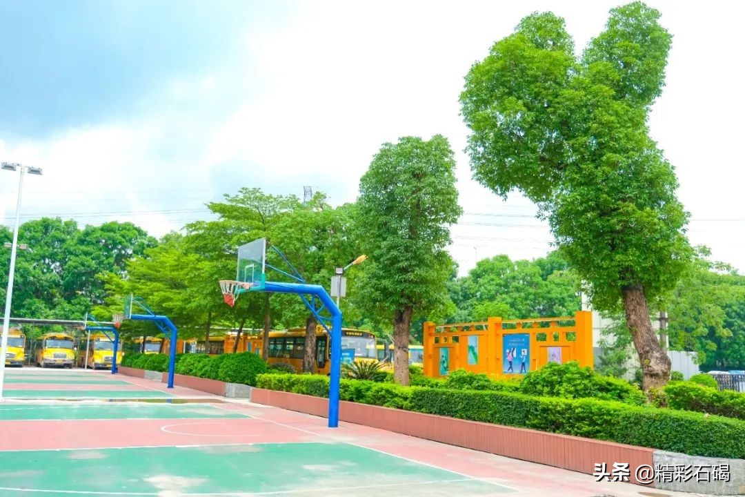 东莞石碣四海学校几时考试,石碣镇四海学校招生电话