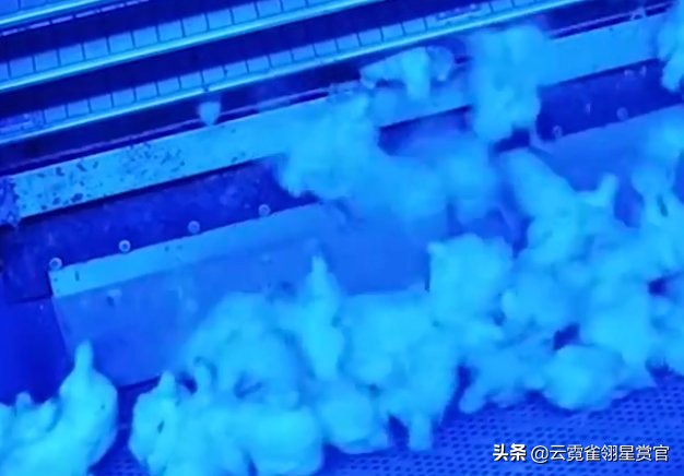 德国小型捉鸡设备,德国抓鸡神器