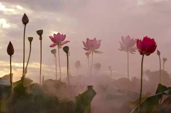 一段唯美诗词,一段古风美文