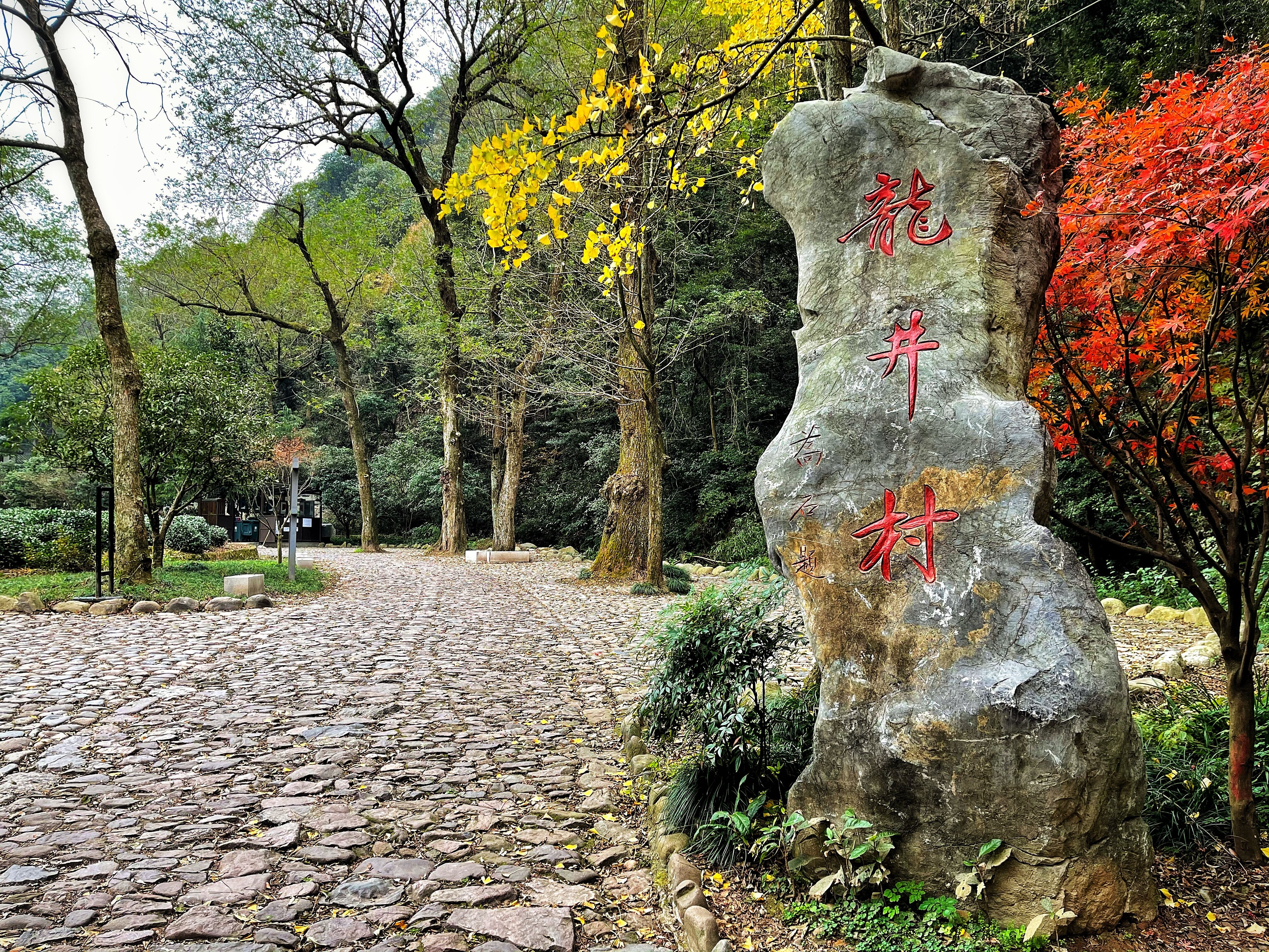 杭州九溪十八涧环境,杭州九溪十八涧四五月有什么风景