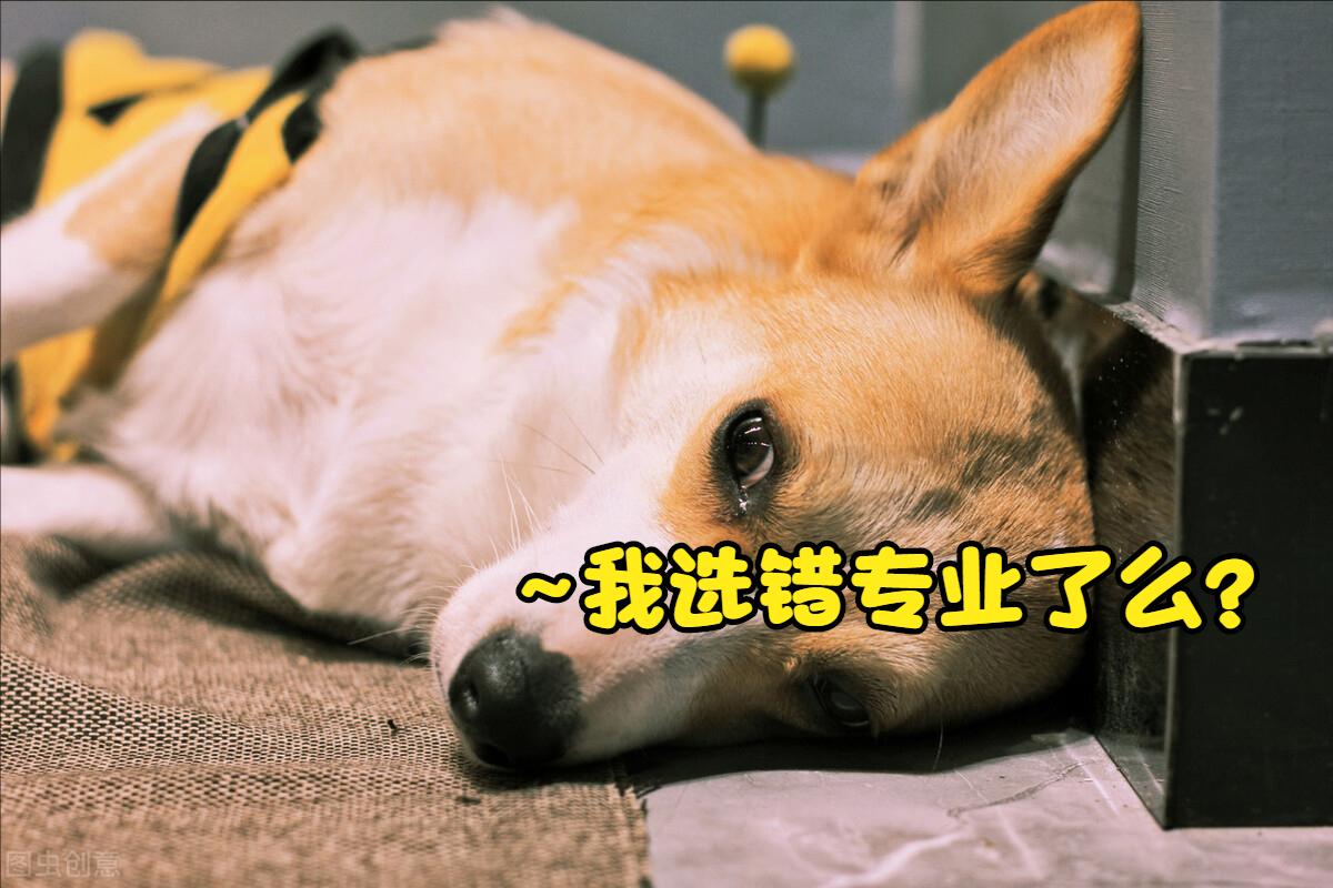 考广告学有必要吗,学广告学专业烧不烧钱