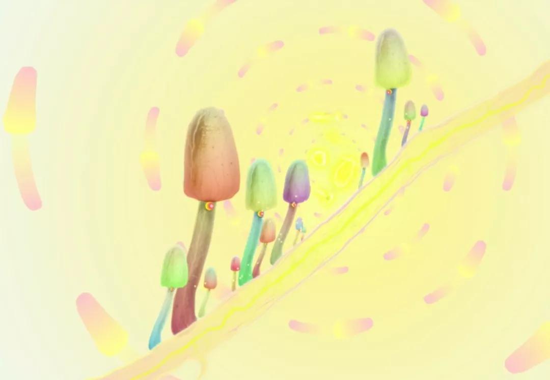 哪些单机游戏最好玩自由度还高,有哪些单机游戏玩的有成就感