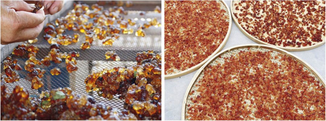 青竹无甲醛水粉怎么用,青竹经典黑和流光白颜料的区别