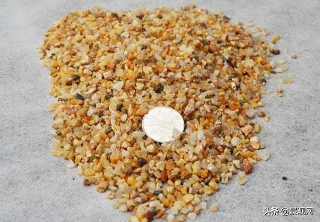 长有兔子耳朵的多肉好养,多肉兔耳朵能长多高