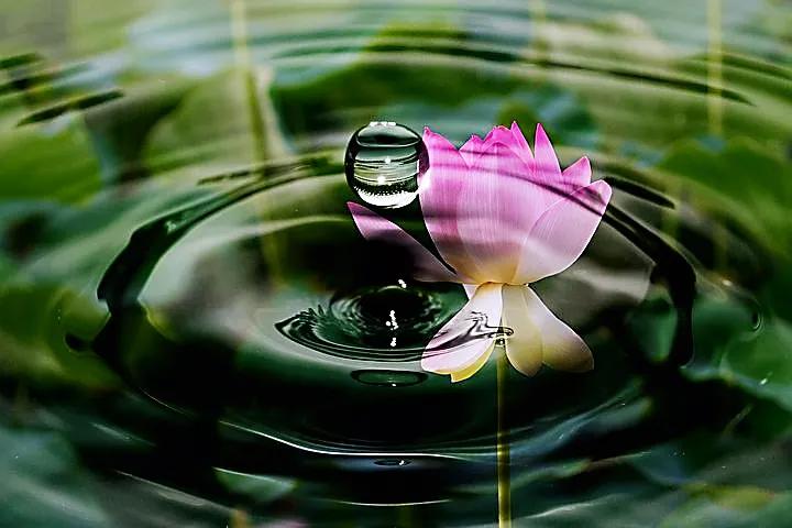 前世今生是否可以轮回,前世今生还可以怎样描述