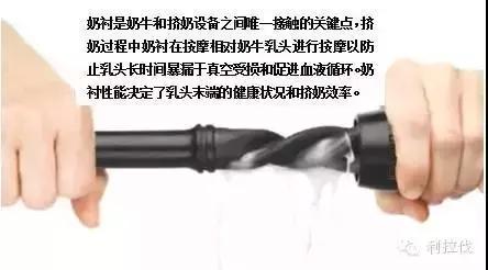 坏疽性乳房炎预防,最快最好的方法治乳房炎