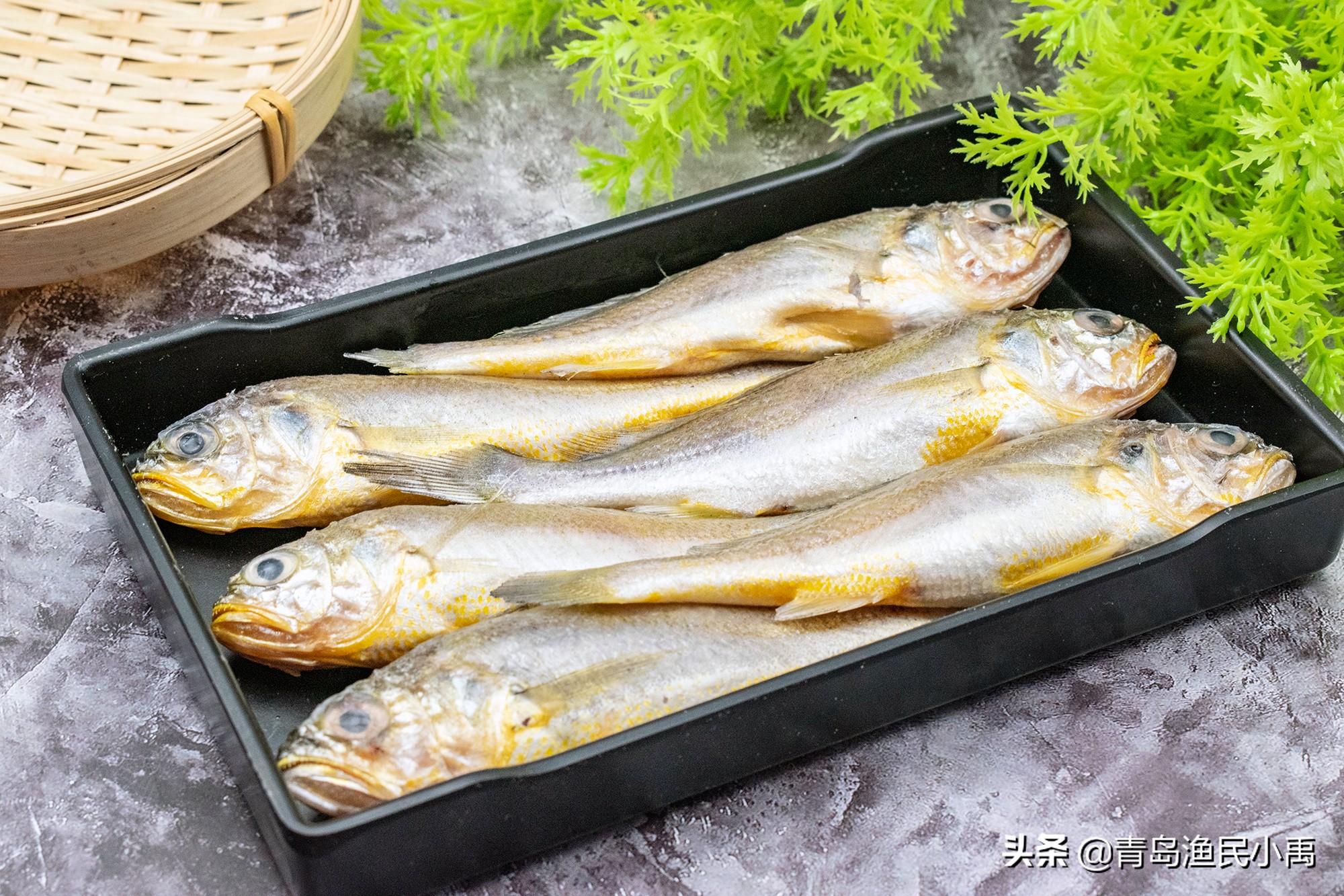 野生大黄鱼最大值多少钱,野生大黄花鱼为啥那么贵