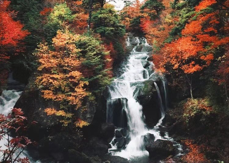 抓住秋天的尾巴走进冬天,抓住秋天的尾巴寻最后一抹金黄