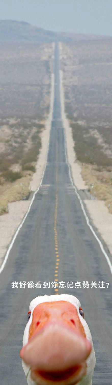 自古真情留不住唯套路得人心,世上有情留不住自古套路得人心