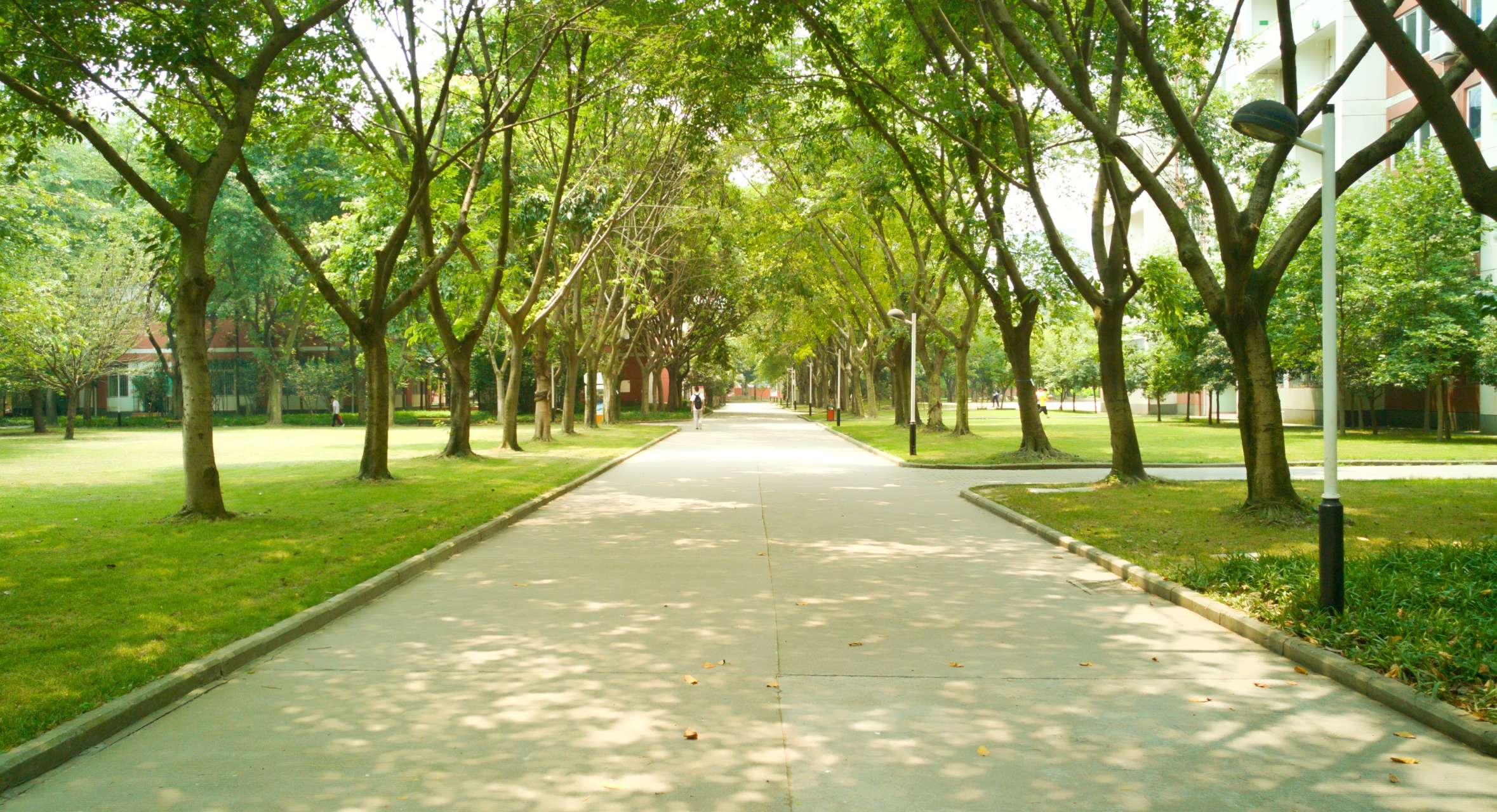 送她红围脖的男孩子,是个贼