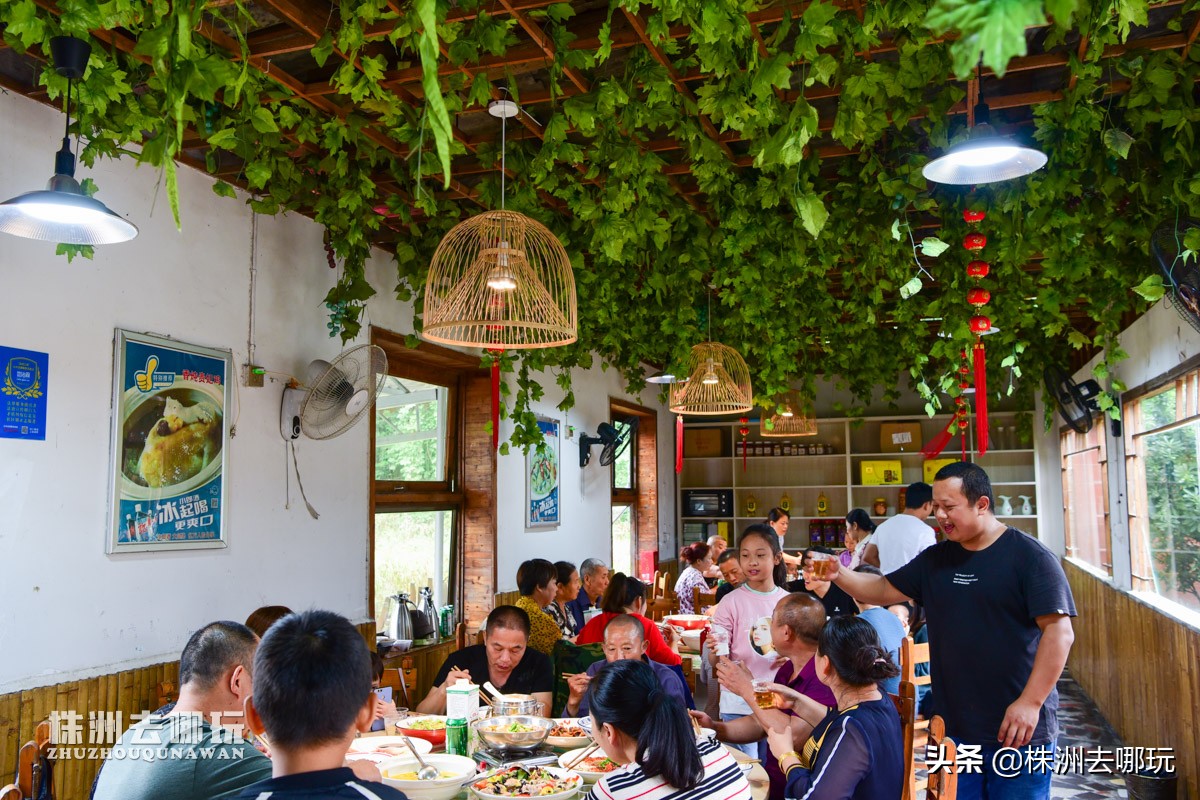 株洲哪里有好玩的度假山庄,株洲田园山庄