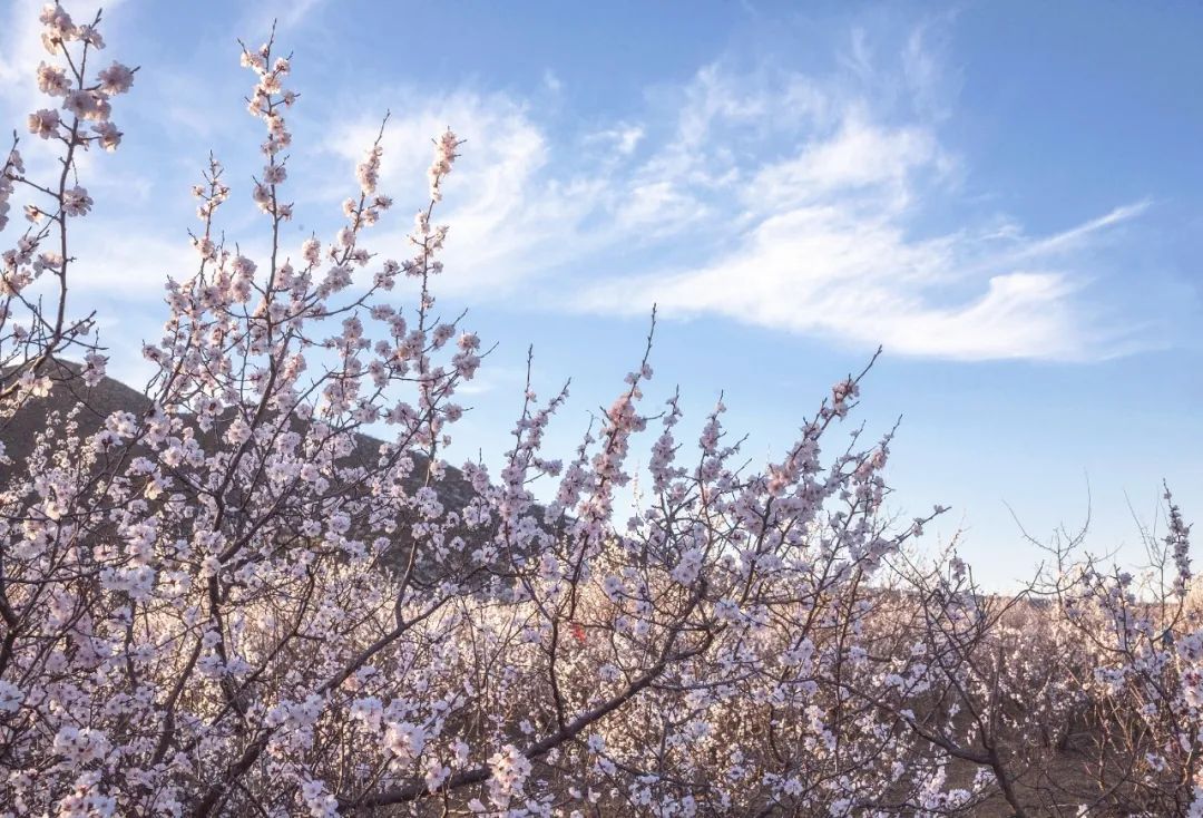 内蒙古通辽扎鲁特旗5条自驾游线路和景点攻略