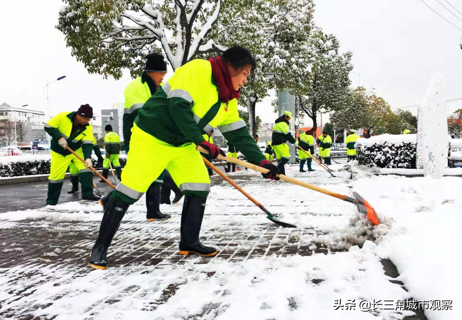 中国好人榜人物周丽娟,劳模周丽娟模范事迹