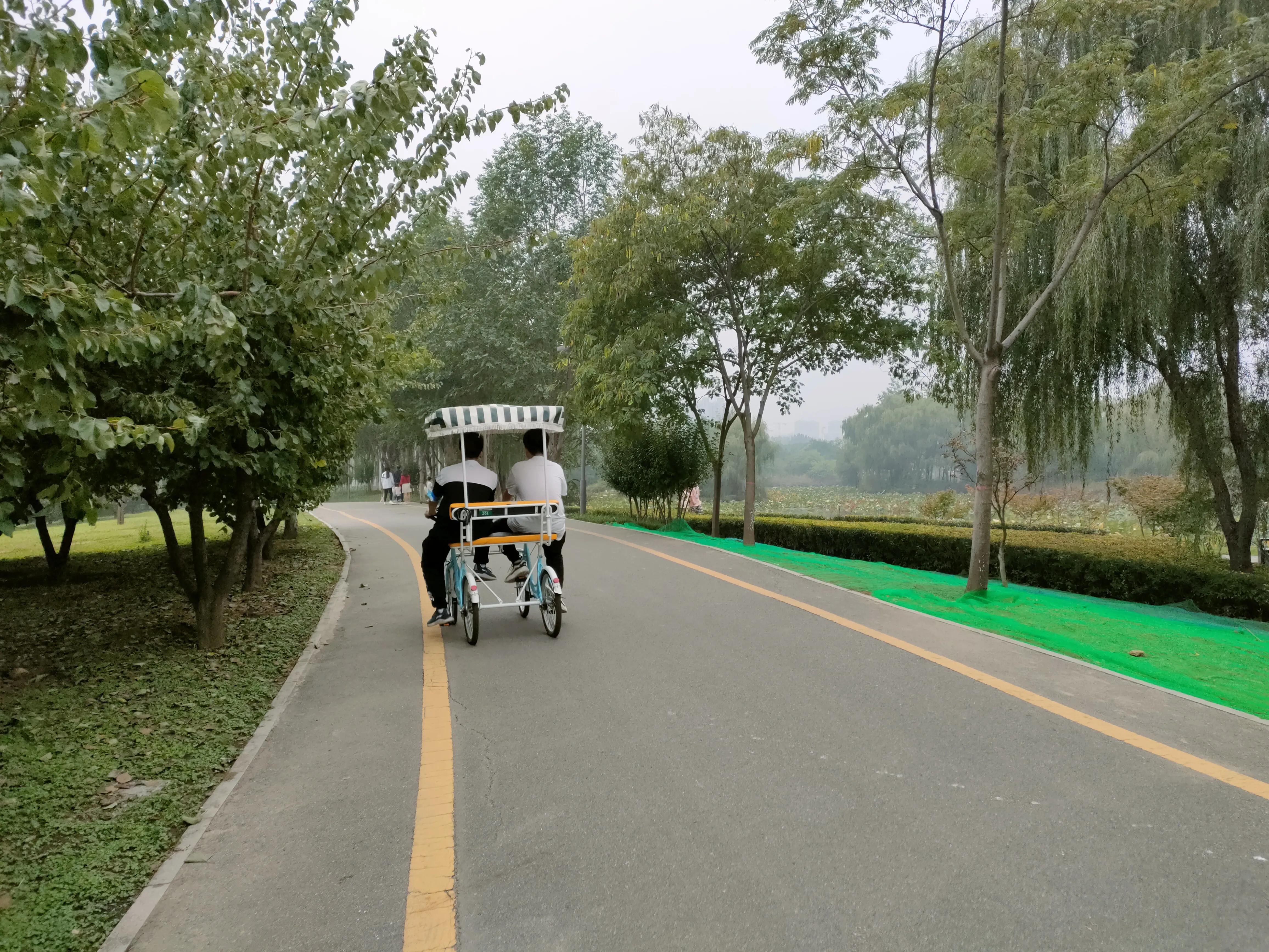 游西安曲江海洋极地公园,国庆去西安海洋极地公园