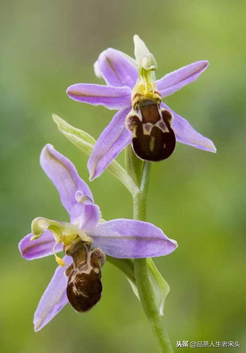 最新世界十大“怪”,最后一个太绝了!