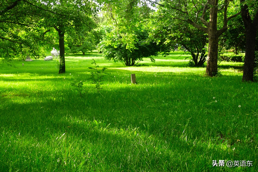 有关绿色的习语，你了解吗