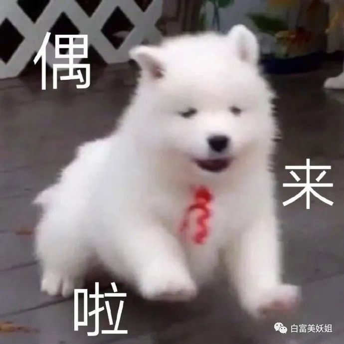 拜佛名媛翻车啦，背景被人扒底朝天