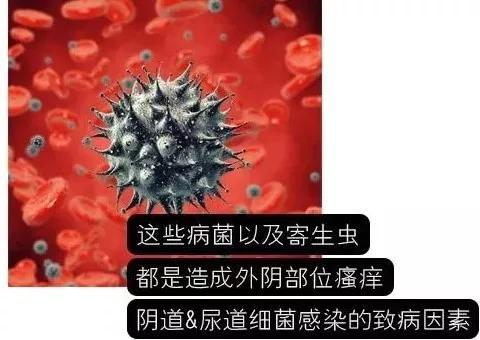 内裤需要洗干净再扔吗,裤头穿多久就要扔掉