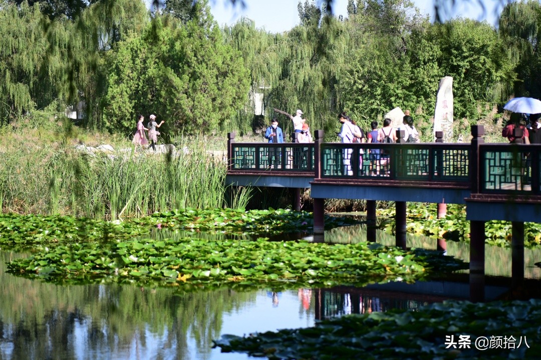 北京圆明园一日游推荐,圆明园秋色如画