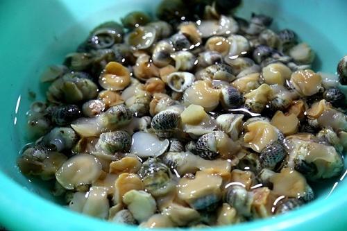 海螺的尾部到底是黄还是肝,海螺的尾部是黑色怎么回事