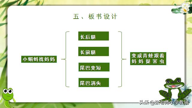 小蝌蚪找妈妈课程分享ppt,小蝌蚪找妈妈ppt教师讲解视频