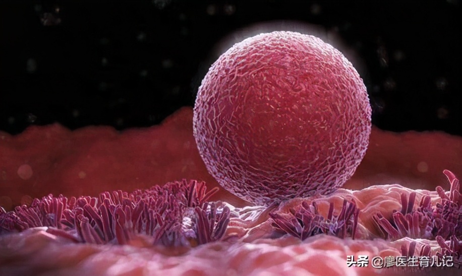 度过孕期危险期,度过孕早期的焦虑