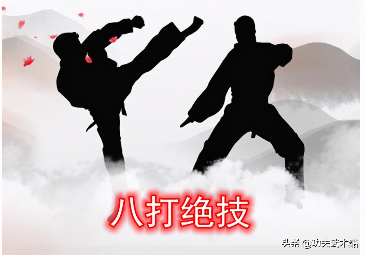 经典武术格斗技巧,各种武术格斗技巧