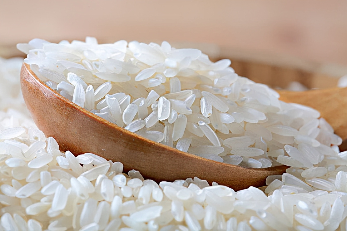 大米有黑色小虫子是什么虫子,大米里面有黑色小虫子哪里来