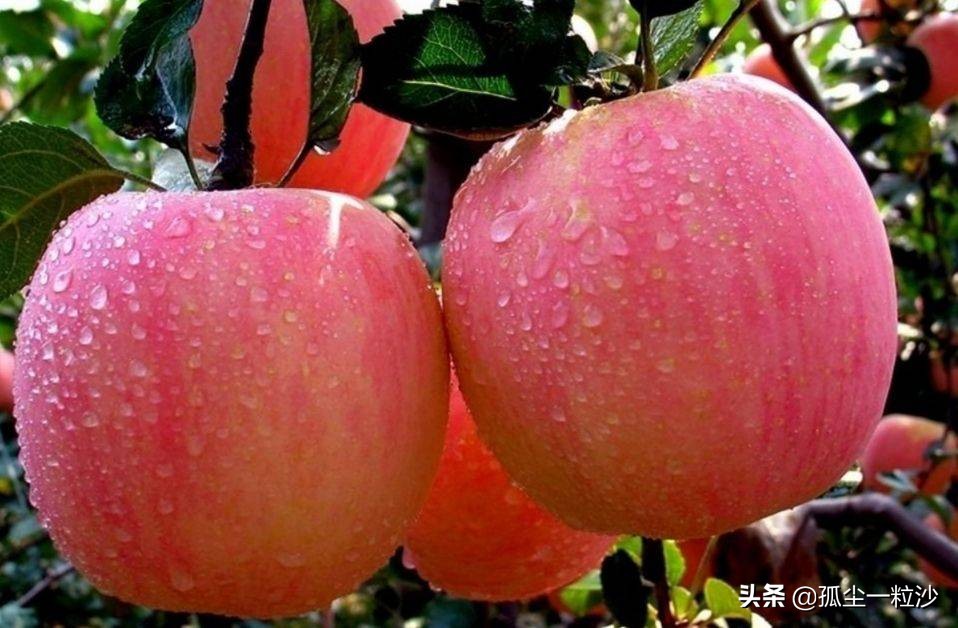 大连市瓦房店美食推荐,瓦房店美食好吃推荐