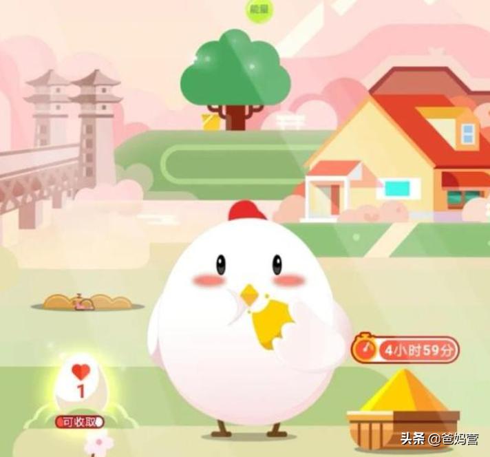 塑料姐妹花聊天记录,塑料姐妹互撕聊天记录